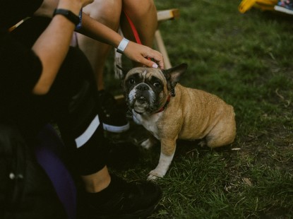 Вихідні на ВДНГ: усі події з 11 по 13 серпня