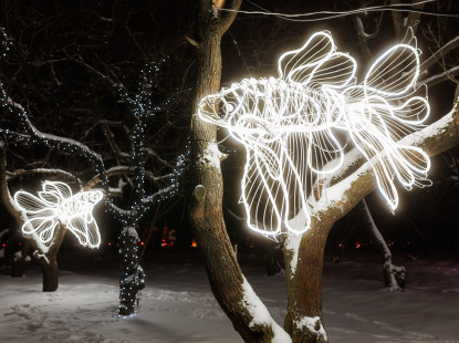 Один квиток — дві розваги! Комплексні квитки відкривають доступ одразу до двох локацій «Зимової Країни»