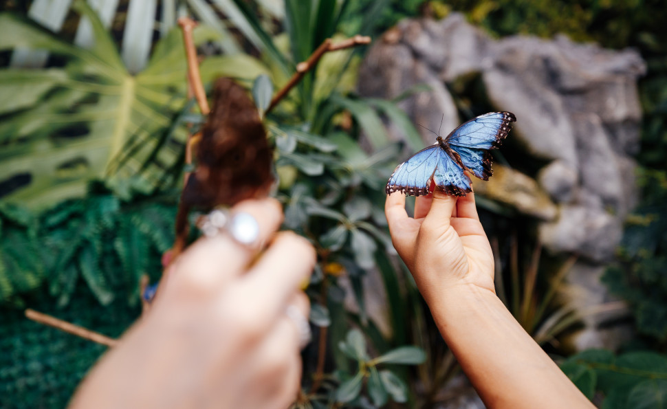 Найбільша ковзанка й Резиденція Санти, масштабні світлові інсталяції та фотозони: де шукати дива на «Зимовій країні» на ВДНГ