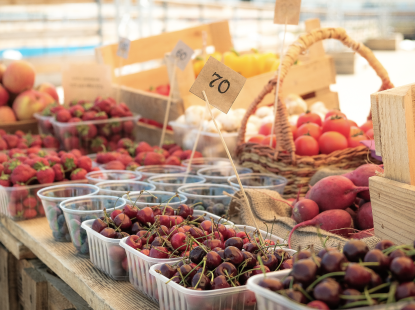 Перший ярмарок «Літній збір» на ВДНГ: Як це було