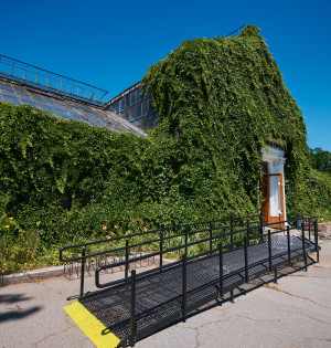 Пандус, ширші проходи, інклюзивна вбиральня: Оранжерея на ВДНГ стала безбар’єрною