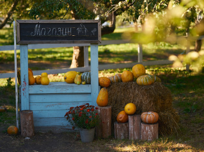 Події на ВДНГ 25–26 жовтня: зустрічі, фестивалі й тепла осіння атмосфера