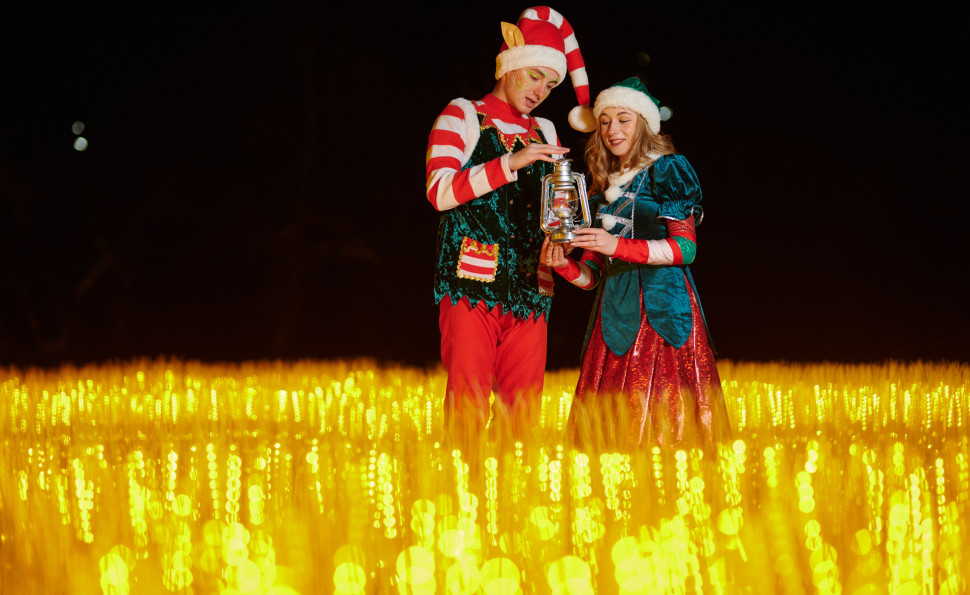  Золоте пшеничне поле та світлові скульптури: на ВДНГ відкривається артпростір ILLUMINARIUM