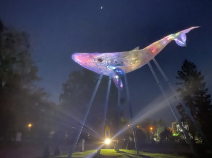 Київський Кит: 12-метрову медіа скульптуру з переробленого пластику презентують на ВДНГ