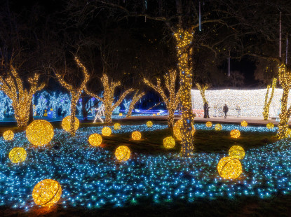 ІЛЮМІНАРІУМ — магія світла, що розквітає зимовими вечорами