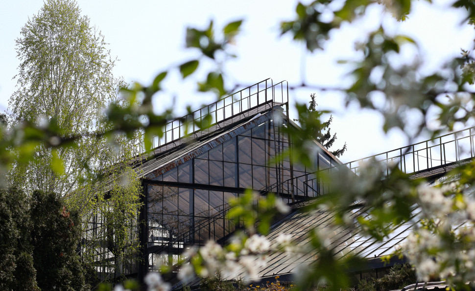 Оранжерея на ВДНГ 