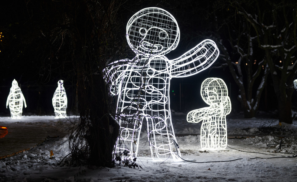  Золоте пшеничне поле та світлові скульптури: на ВДНГ відкривається артпростір ILLUMINARIUM