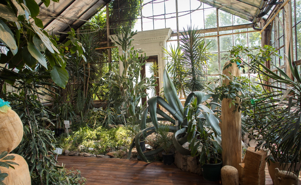 Оранжерея на ВДНГ 