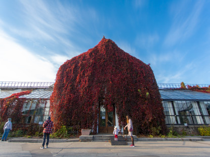 Утеплювальні роботи в Оранжереї