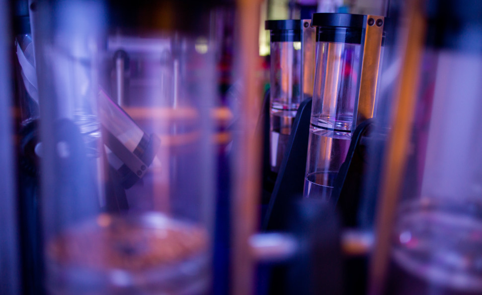 Розгадати оптичну ілюзію та привести в дію інтерактивну стелю: що чекає на відвідувачів нового «Музею науки» в Києві