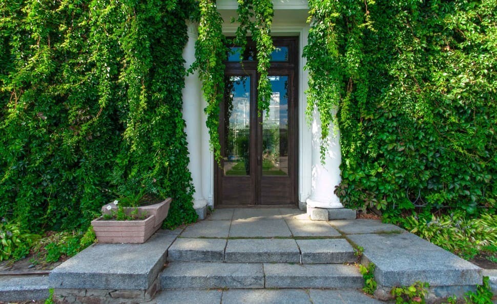 Оранжерея ВДНГ відкривається 2 серпня