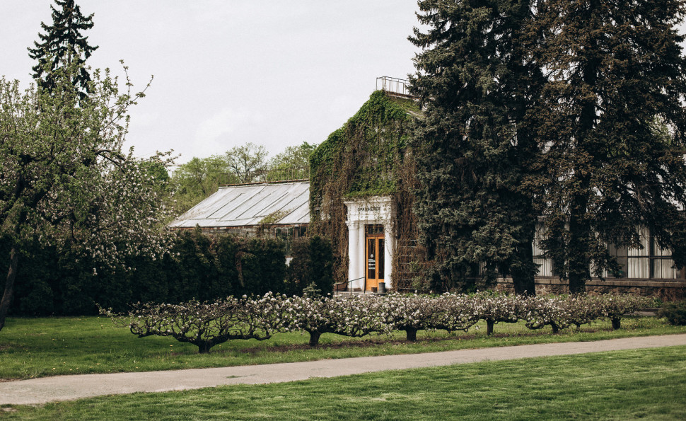 Оранжерея на ВДНГ 