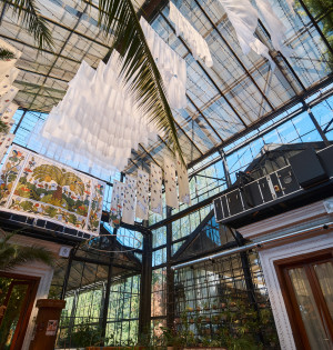 Події на ВДНГ 23–24 серпня: концерти, фестивалі, йога та екскурсії