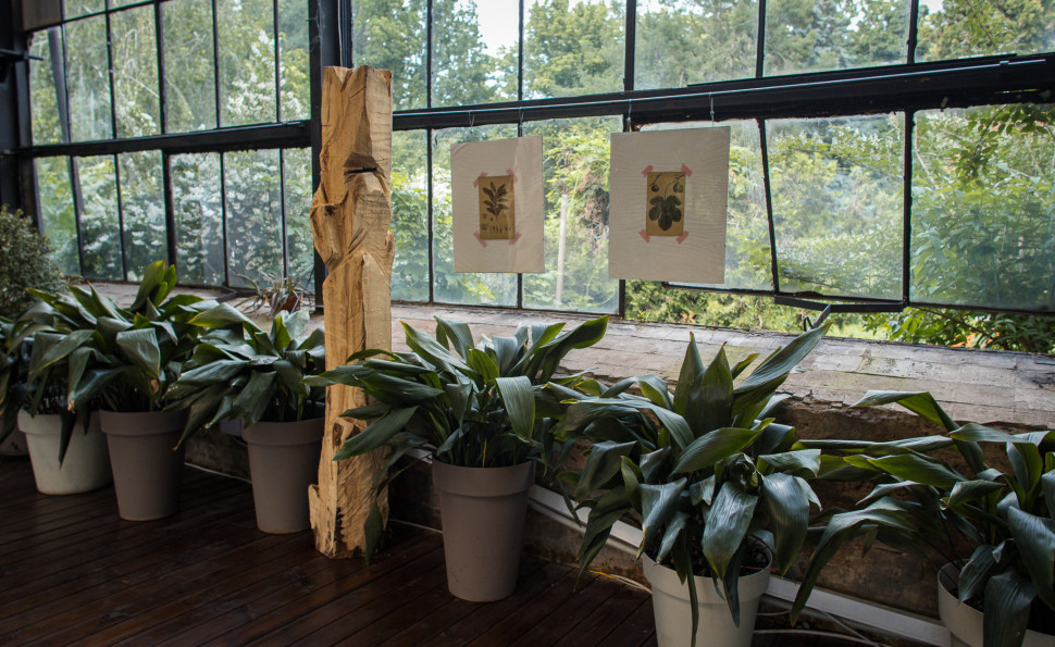 Оранжерея на ВДНГ 