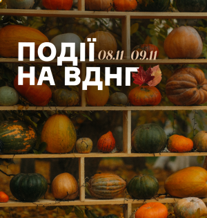 Події на ВДНГ 8–9 листопада: книжкові історії, аромат молодого вина та осінній затишок