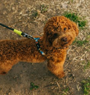 Куди піти на ВДНГ: Дайджест подій вихідних