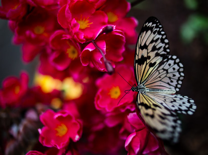 Видихнути й відновитися на ВДНГ. Гід літніми локаціями