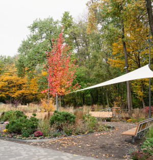 На ВДНГ відкрили Терапевтичний сад: який вигляд має новий простір для відновлення та розвантаження