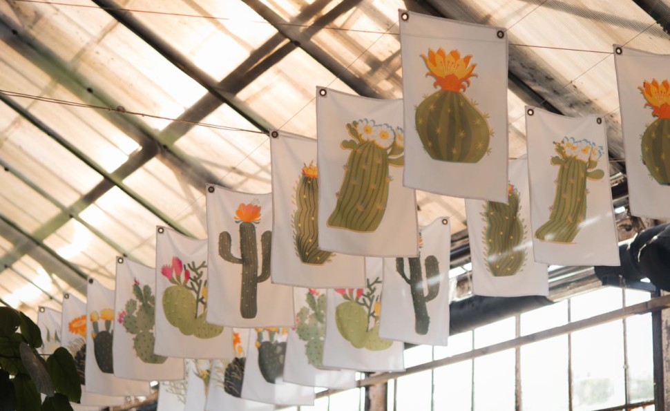 Оранжерея чар