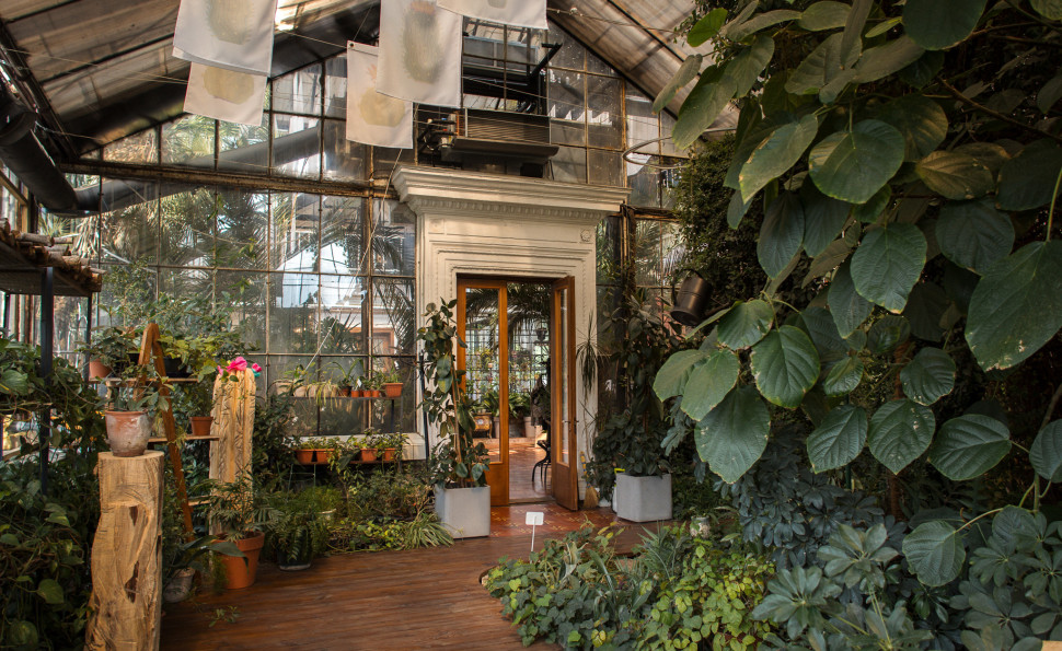 Оранжерея на ВДНГ 