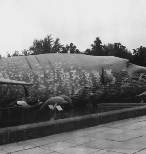 ВДНГ першим в Україні передав об'єкт в оренду за допомогою аукціону Фонду держмайна