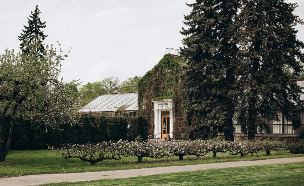 Оранжерея на ВДНГ 