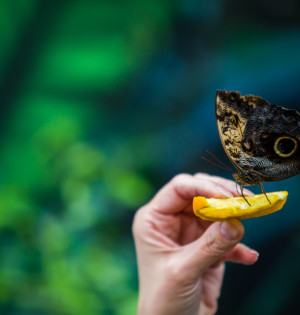 5 дієвих способів зігрітися на ВДНГ