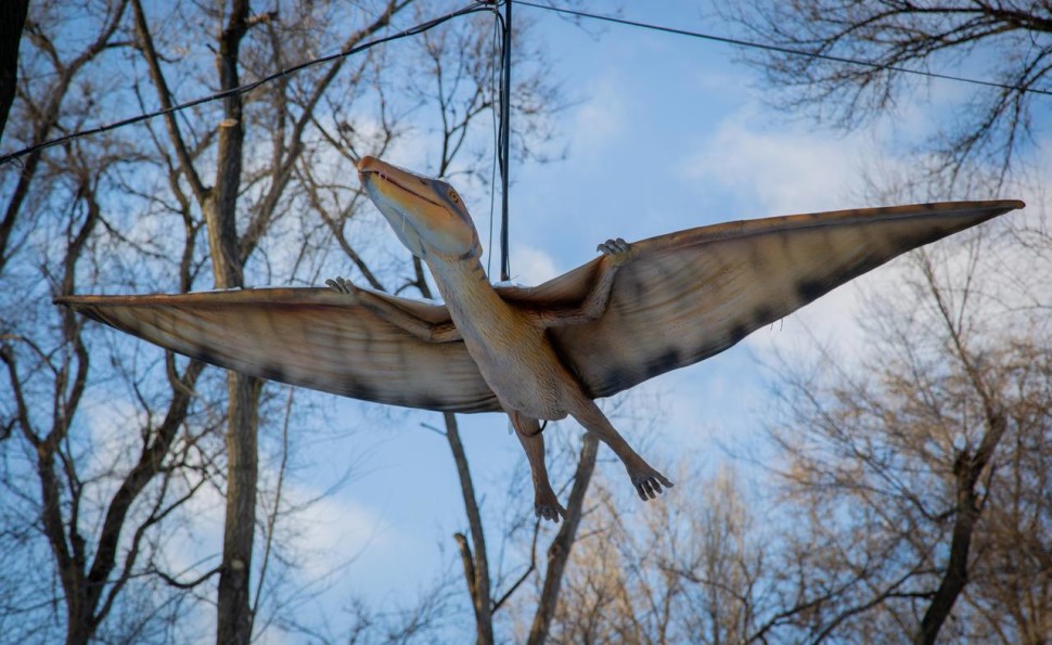 «Зимова Країна на ВДНГ»: цьогорічні локації та ціни