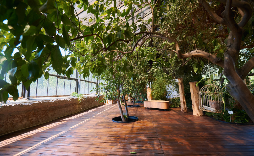 Пандус, ширші проходи, інклюзивна вбиральня: Оранжерея на ВДНГ стала безбар’єрною