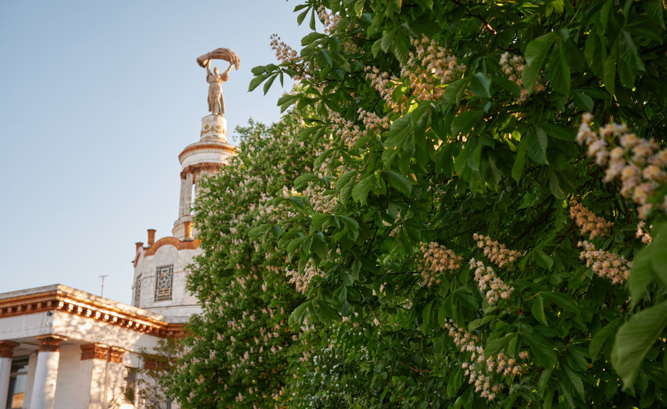 На ВДНГ з’явиться Food Plaza. Оголошено набір резидентів
