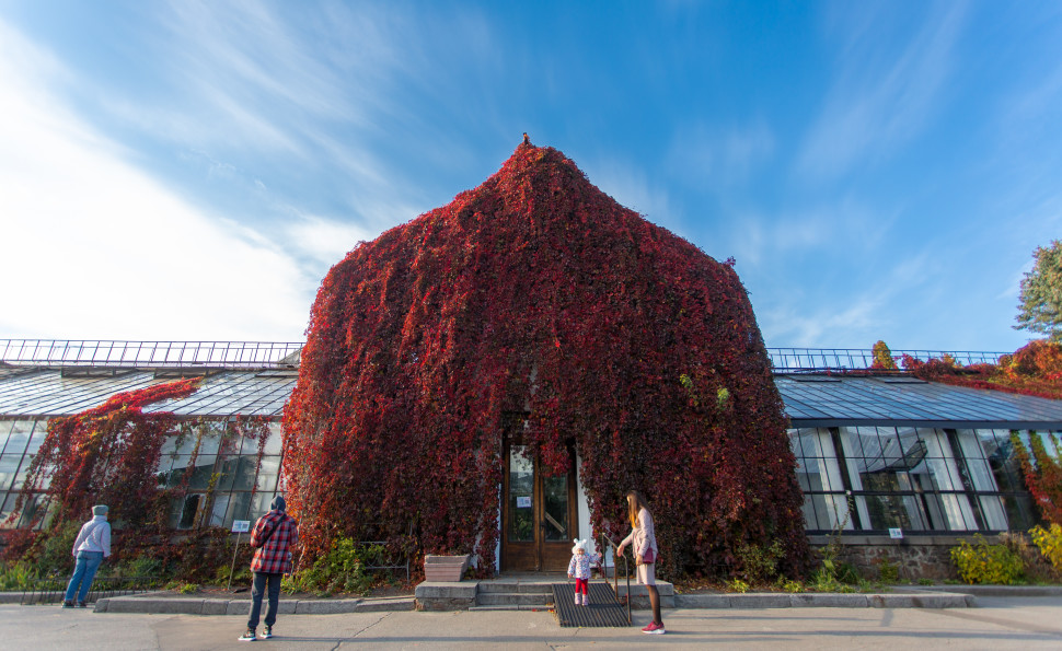 Утеплювальні роботи в Оранжереї