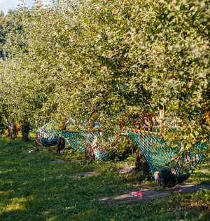 Дайджест подій на ВДНГ з 18 по 20 серпня