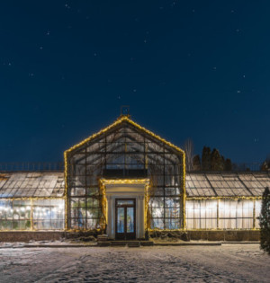 В Оранжереї на ВДНГ почнуть працювати фотозони і теплий бар 