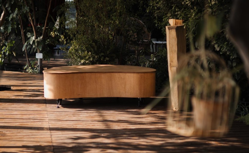 Оранжерея чар