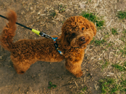 Куди піти на ВДНГ: Дайджест подій вихідних