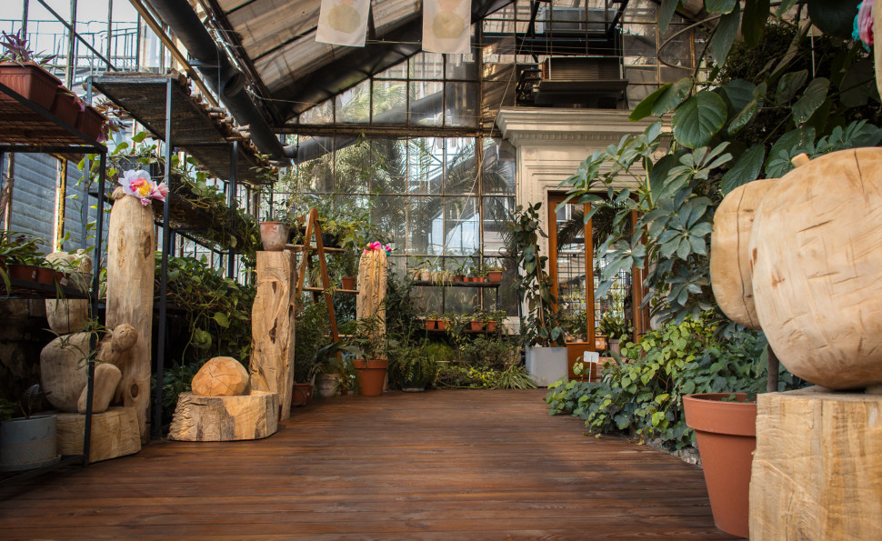 Оранжерея на ВДНГ 