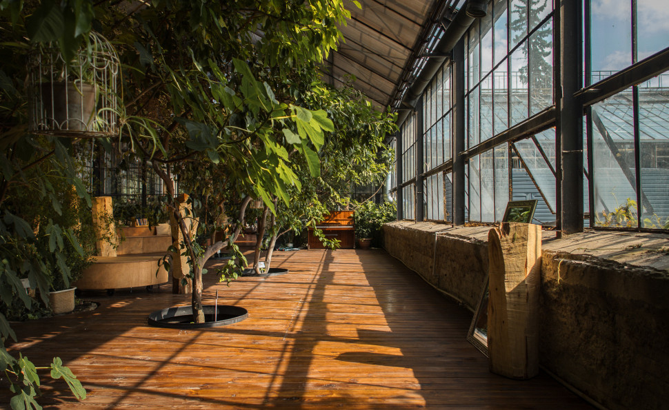 Оранжерея на ВДНГ 