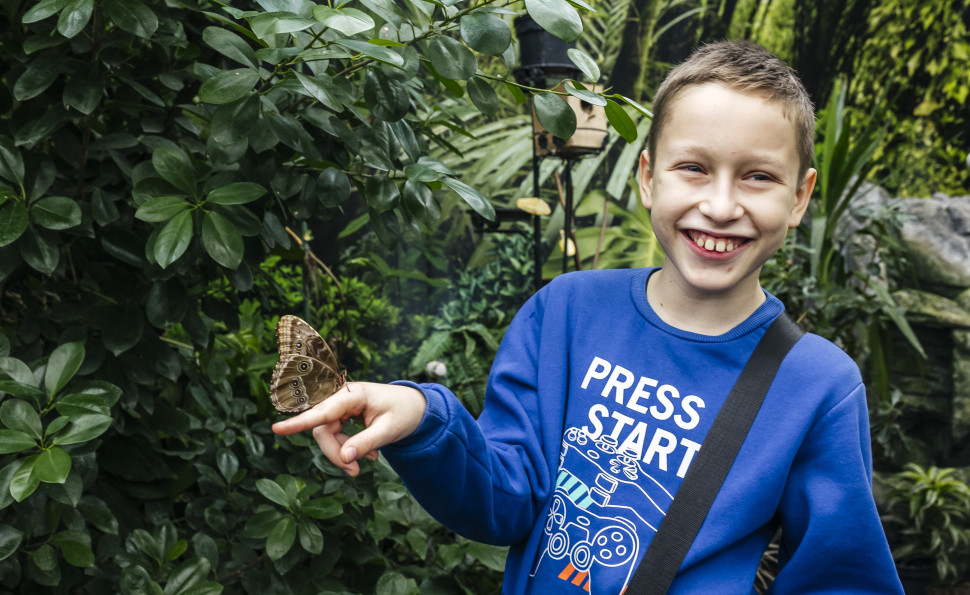 Екскурсійно-пізнавальна платформа для школярів «ЦІКАВО»