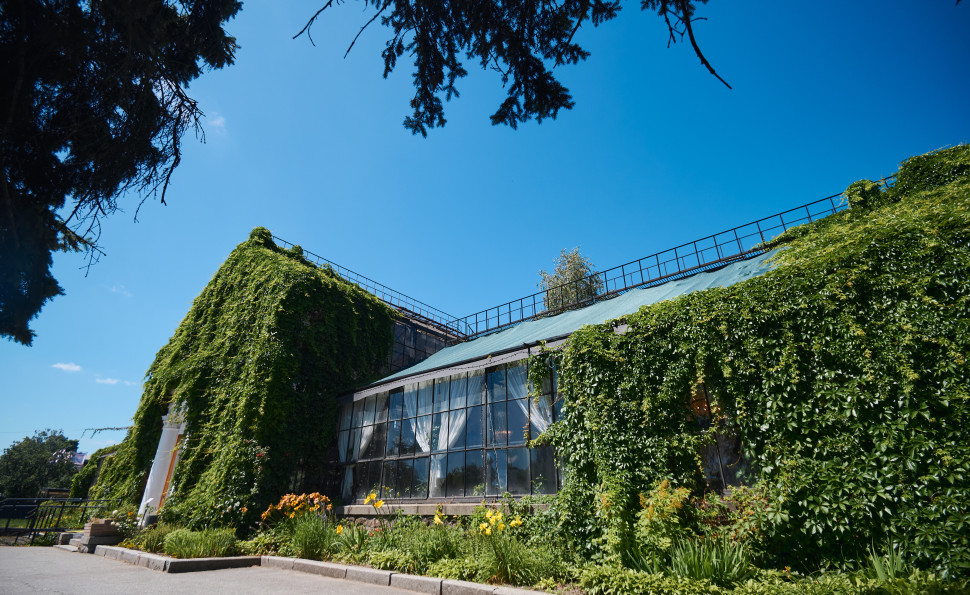 Події на ВДНГ: 9–10 серпня