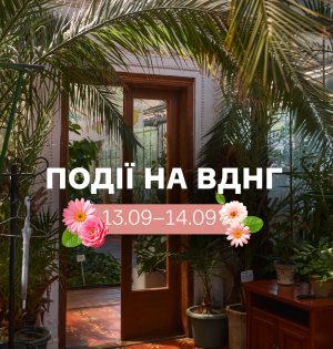 Події на ВДНГ 13–14 вересня: фестивалі, концерти, спорт і виставки