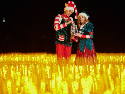Магія серед темряви: ILLUMINARIUM повертається на ВДНГ з казковими світловими інсталяціями