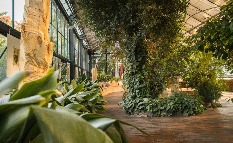 Оранжерея на ВДНГ 