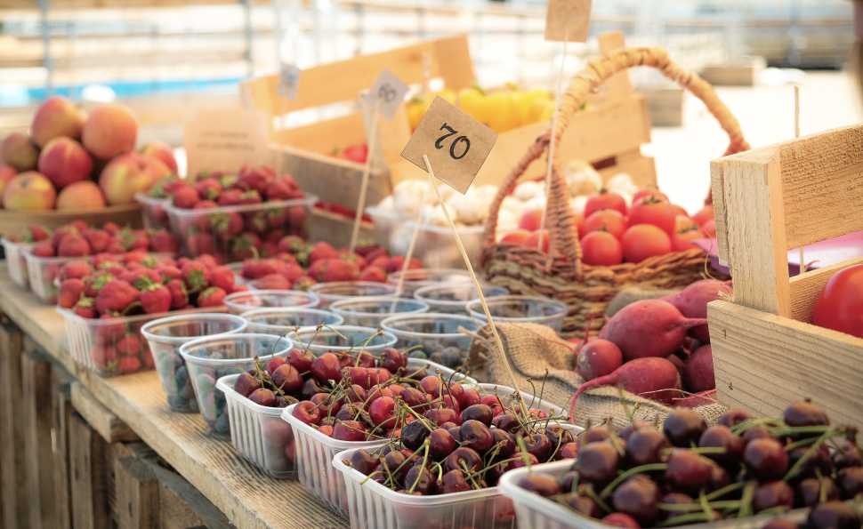 Перший ярмарок «Літній збір» на ВДНГ: Як це було