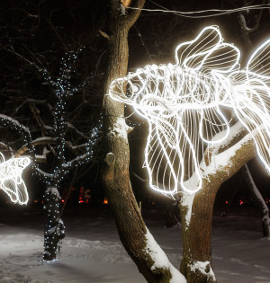 Один квиток — дві розваги! Комплексні квитки відкривають доступ одразу до двох локацій «Зимової Країни»