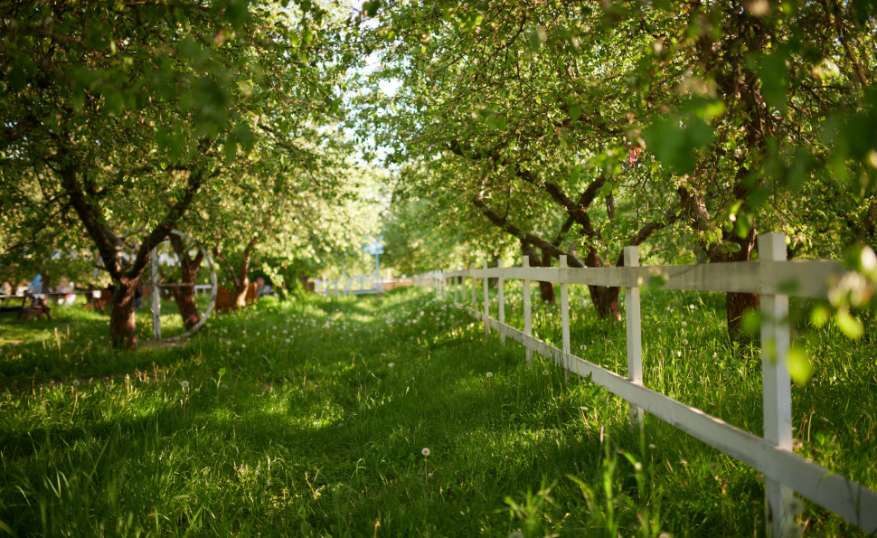 Квітоліто на ВДНГ: в Експоцентрі стартує літній квітковий сезон
