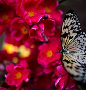 Видихнути й відновитися на ВДНГ. Гід літніми локаціями