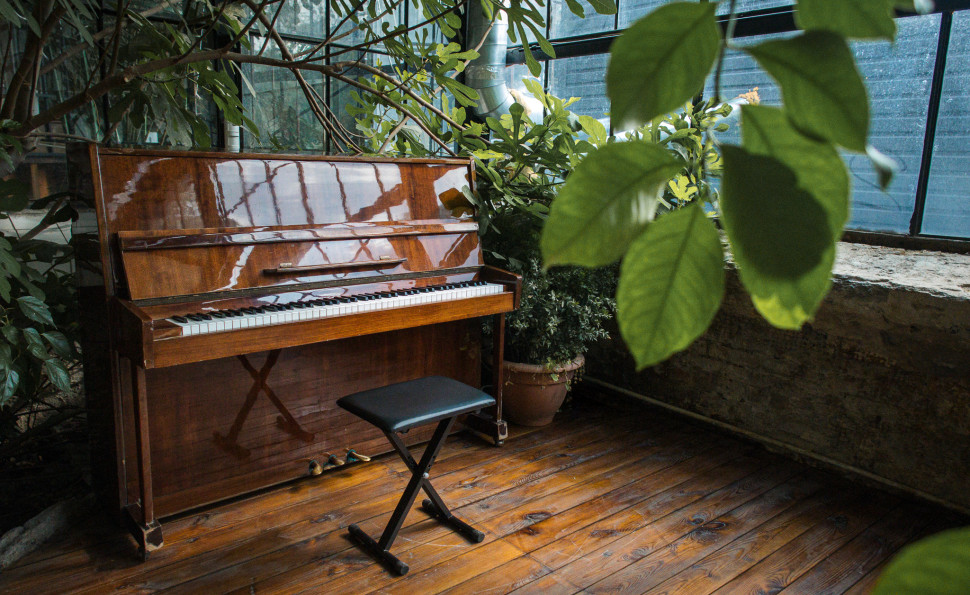 Оранжерея на ВДНГ 