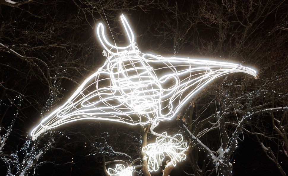 Один квиток — дві розваги! Комплексні квитки відкривають доступ одразу до двох локацій «Зимової Країни»