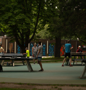 Запрошуємо пройти опитування щодо спортивної інфраструктури ВДНГ