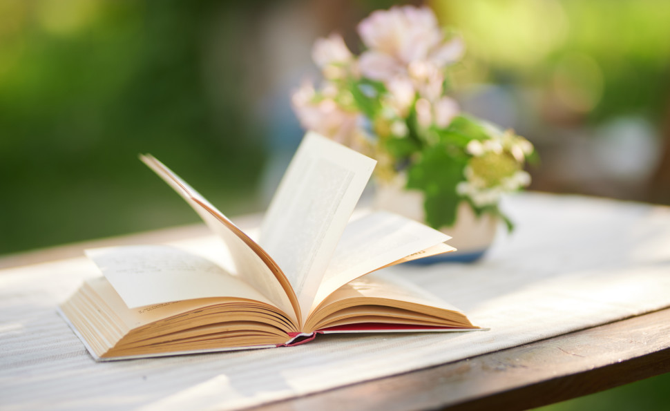 ВДНГ оголошує літній сезон читацьким – що це означає? 